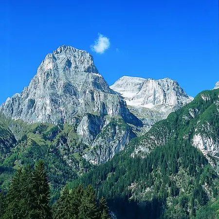 Alpin Gudrun